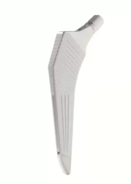 Paragon Standard Porous+HA Coated Stem