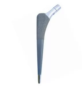 Troy Cementless Porous Coated Femoral Stem