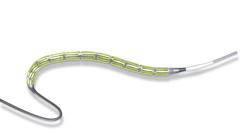Drug Eluting Stent (DES)